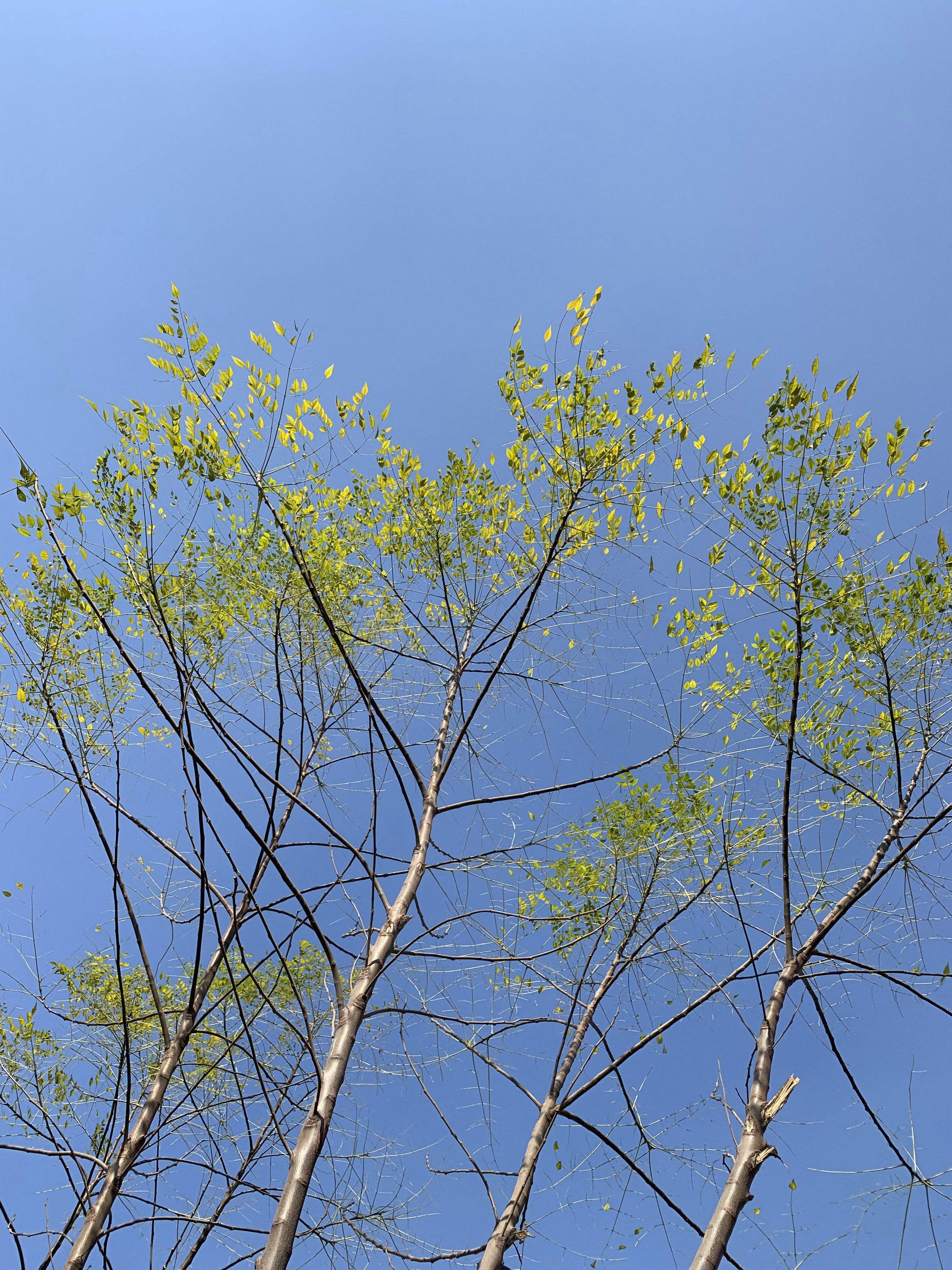 Photo by parikshit74