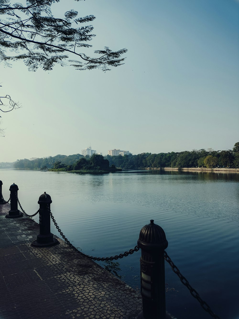 a large body of water surrounded by trees