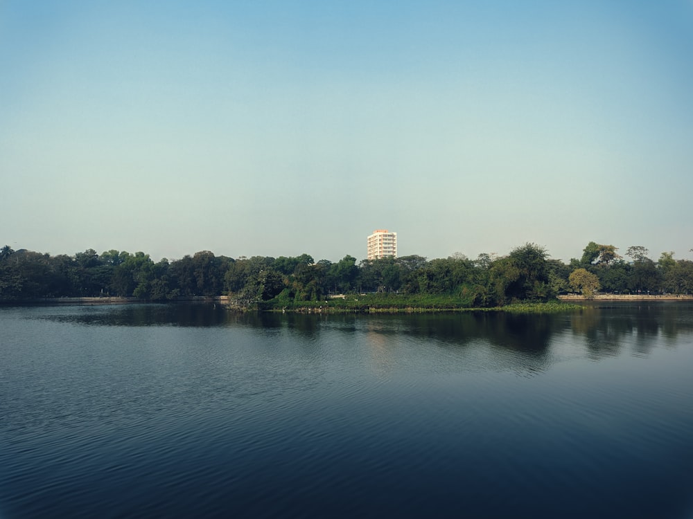 a large body of water surrounded by trees