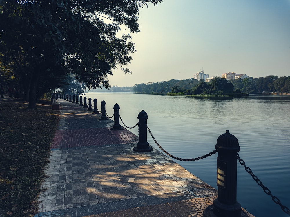 a row of posts sitting next to a body of water