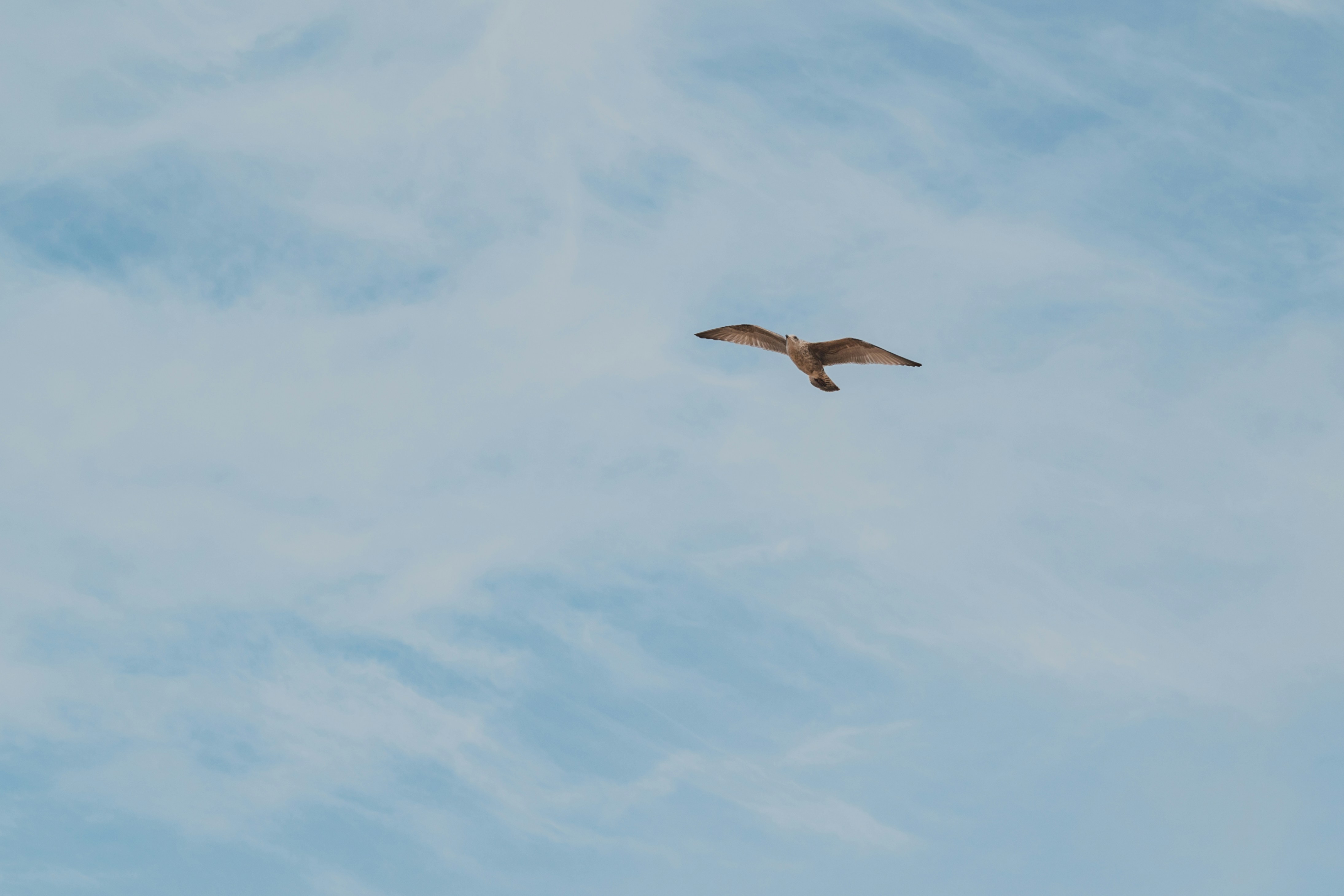 Photo by winstontjia