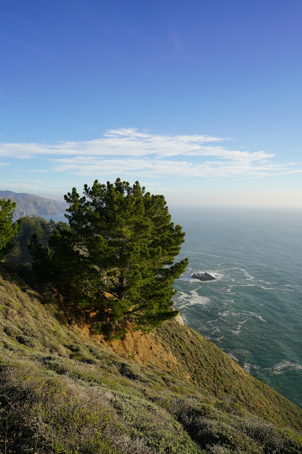 a view of the ocean from the top of a hill