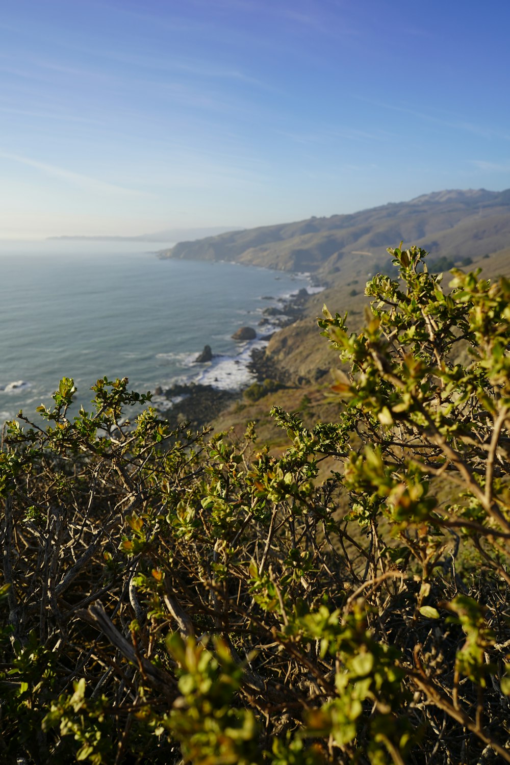 a view of the ocean from the top of a hill