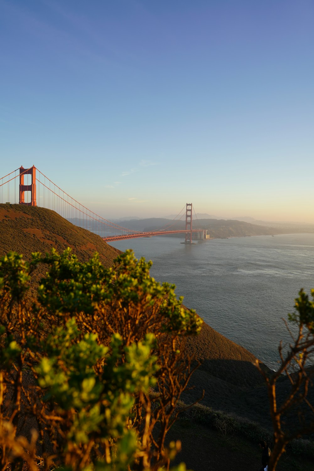 a view of the golden gate bridge from the top of a hill