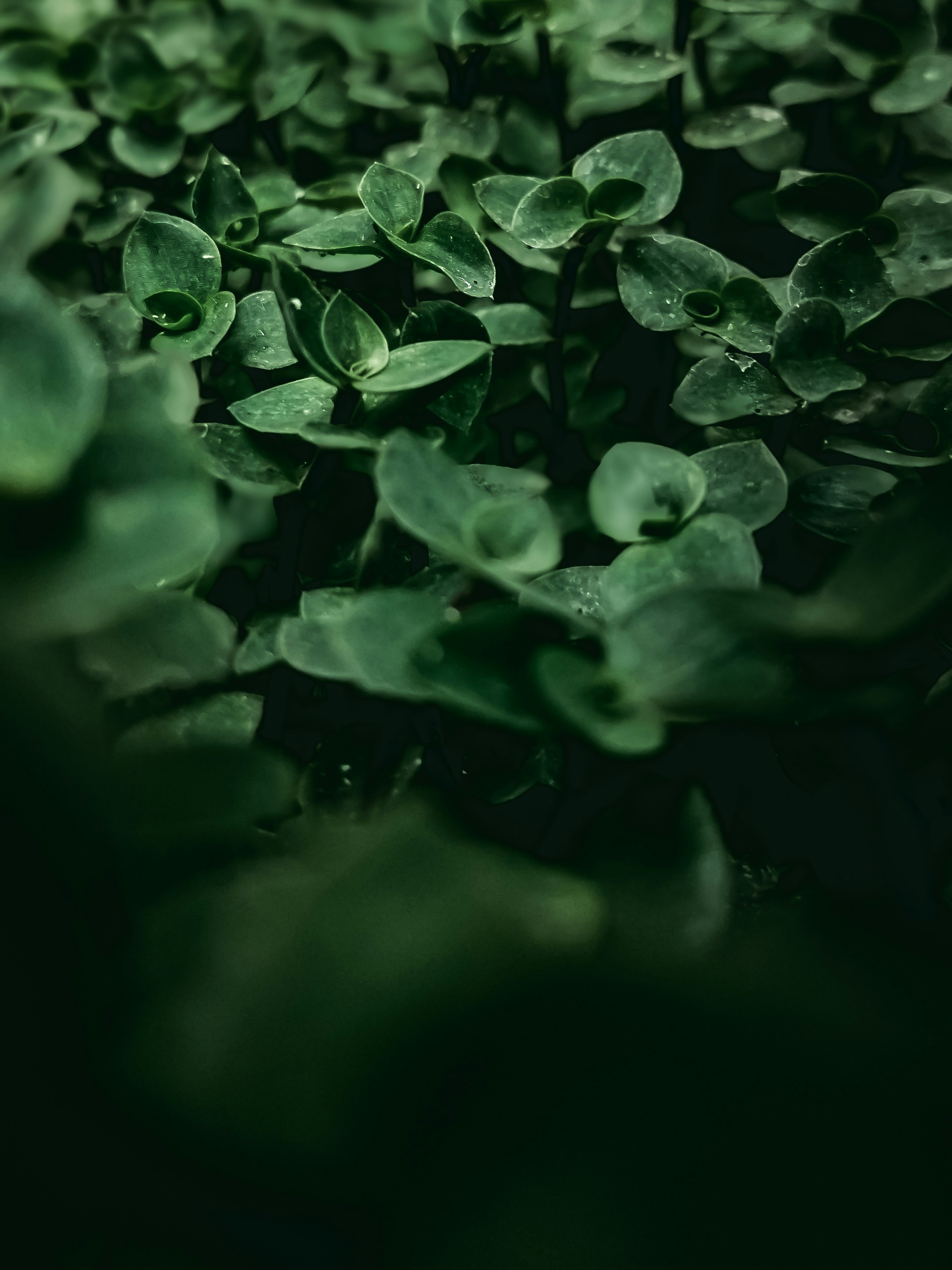 Photo by alwaqori