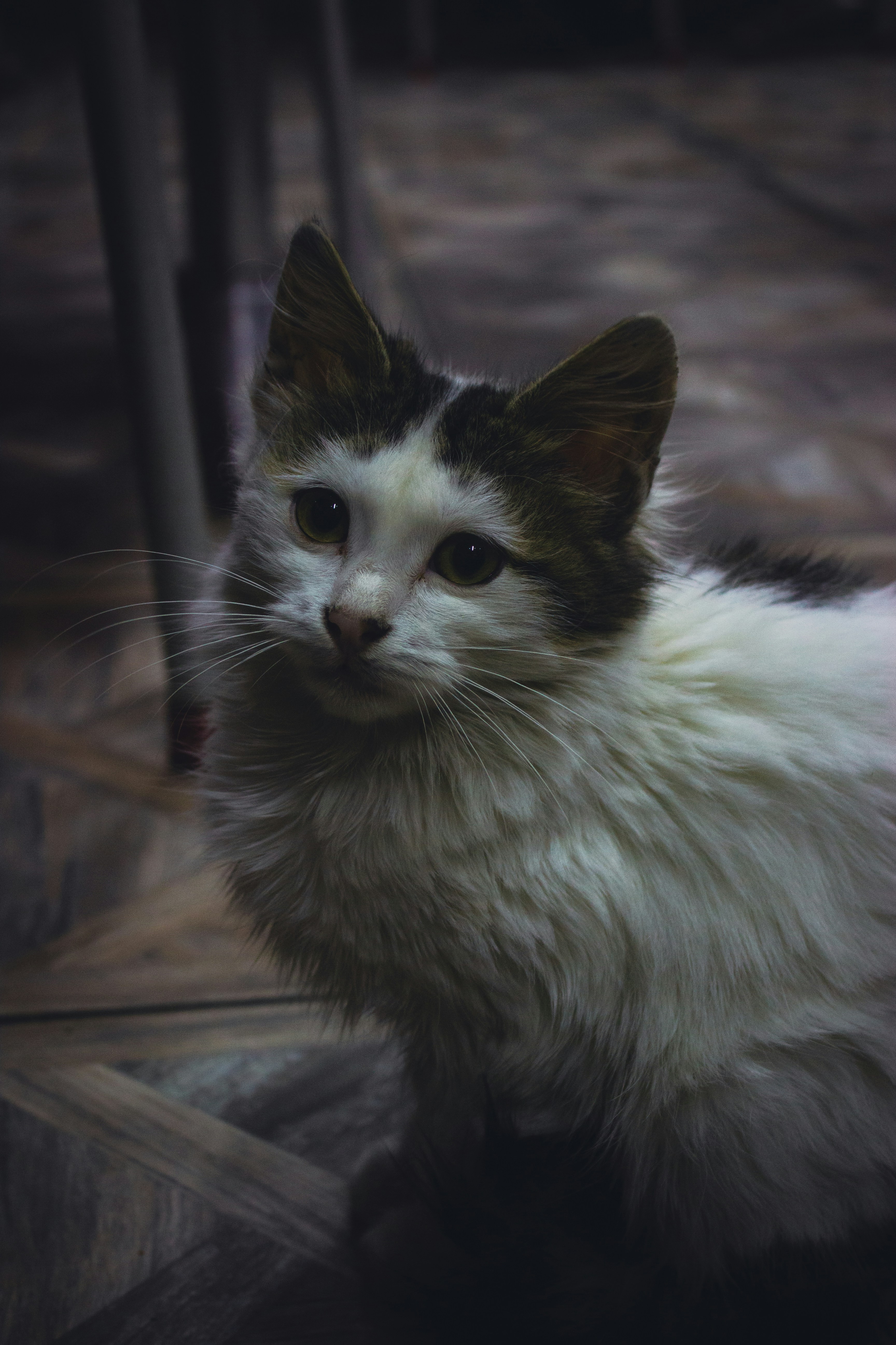 Photo by kemalberkaydogan