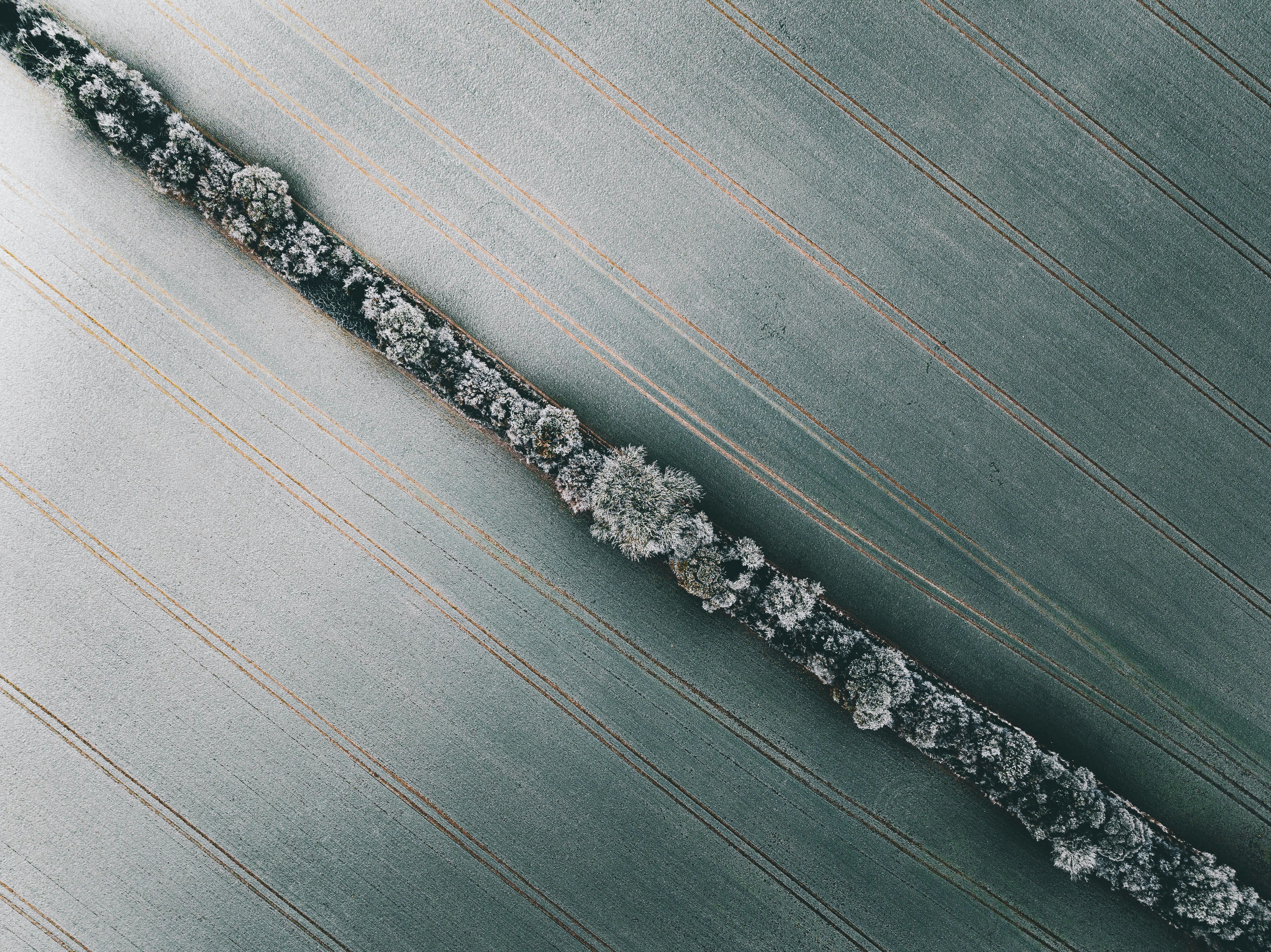 Photo by unstable_affliction