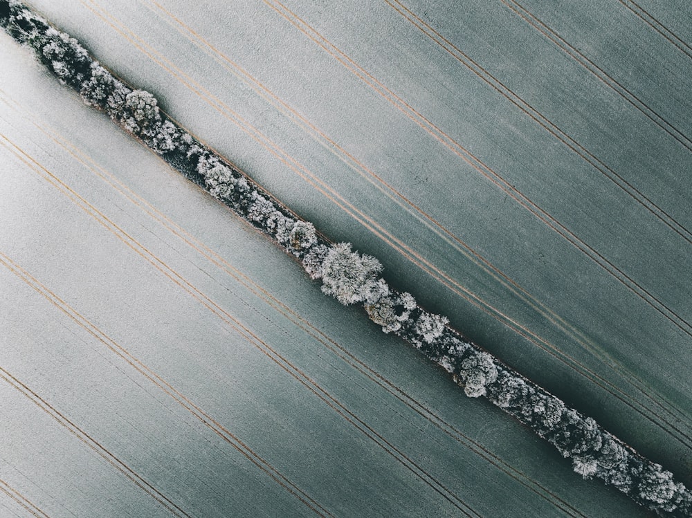 a close up of a metal object with snow on it