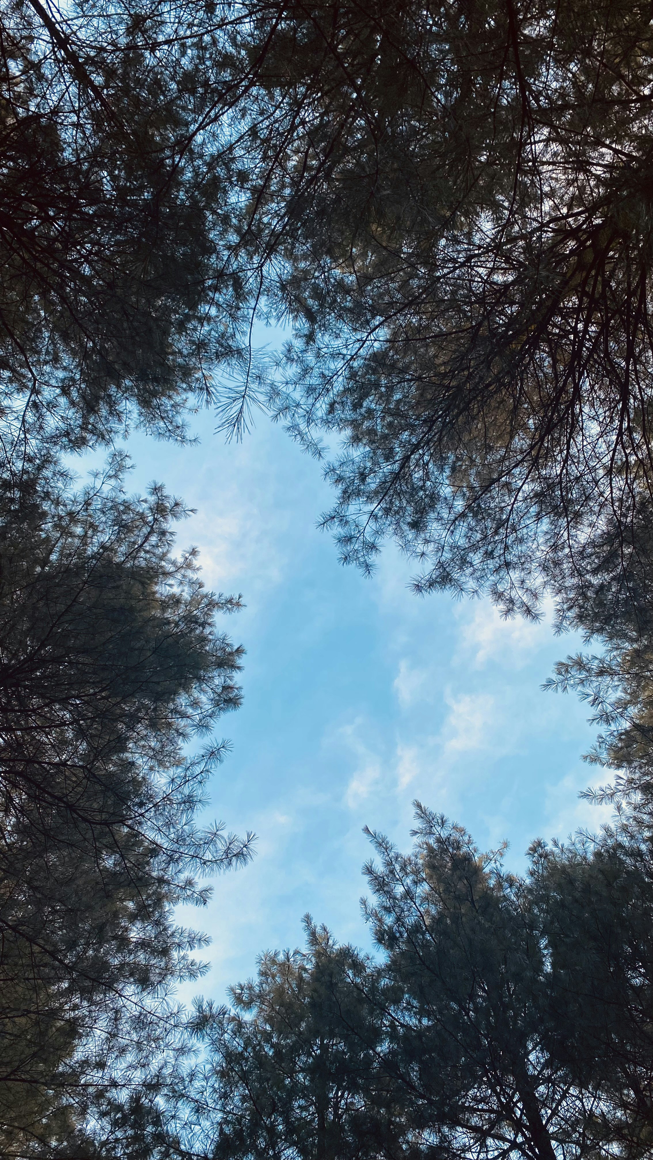 Photo by shirishpandita