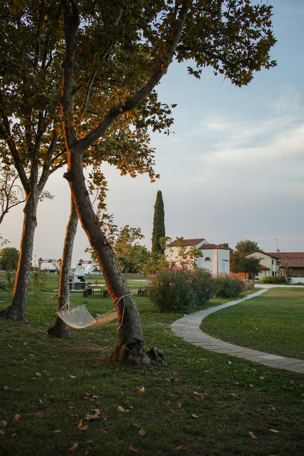 a hammock hanging between two trees in a park