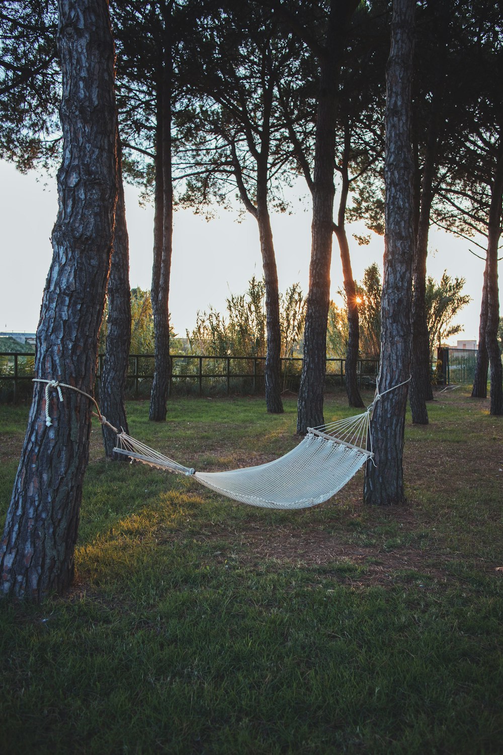 a hammock hanging between two trees in a park