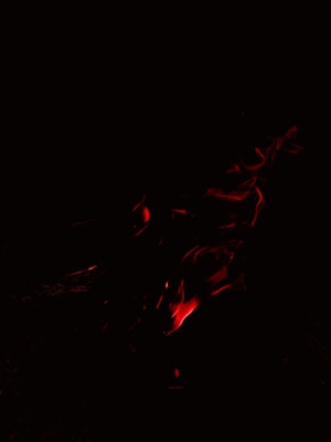 photo-1673791409094-091be034660e?q=85&w=800&h=400&fit=crop Blog