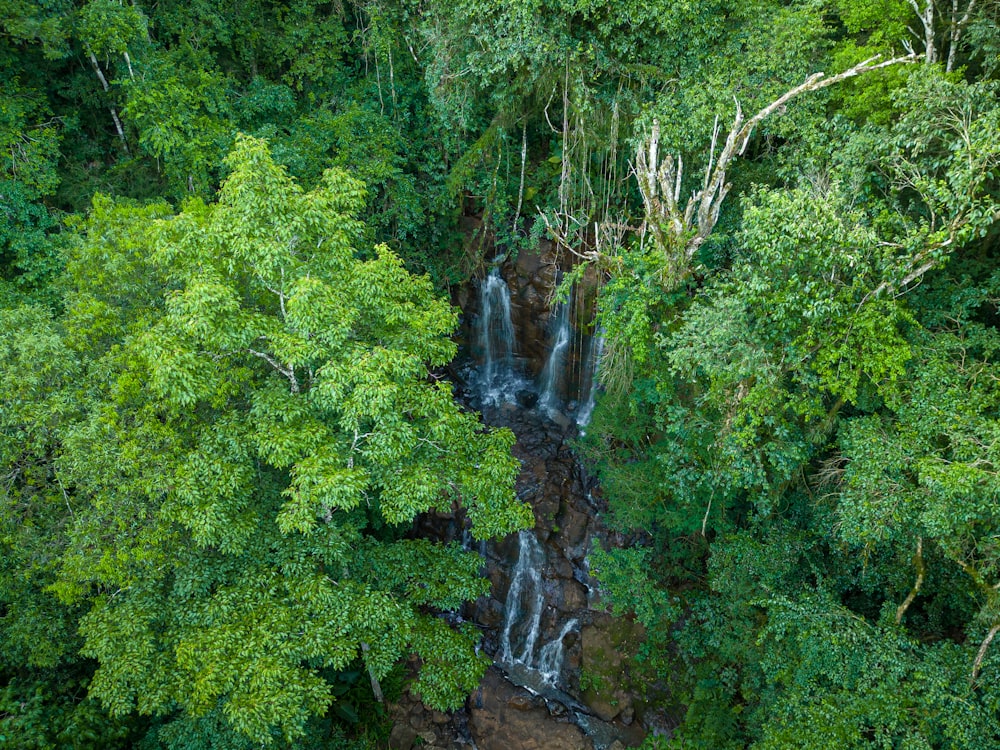 an aerial view of a waterfall surrounded by trees
