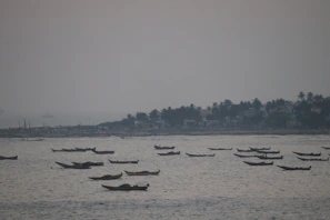 An overhead shot capturing dozens of silent boats gliding smoothly in formation on calm Mediterranean waters.
