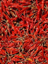 Close-up of vibrant red Urfa isot peppers drying in the sun on traditional woven mats.