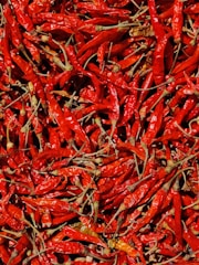 A close-up of dehydrated vegetables showcasing vibrant colors and premium quality.