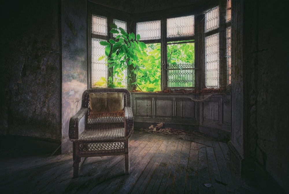 a room with a chair and a potted plant