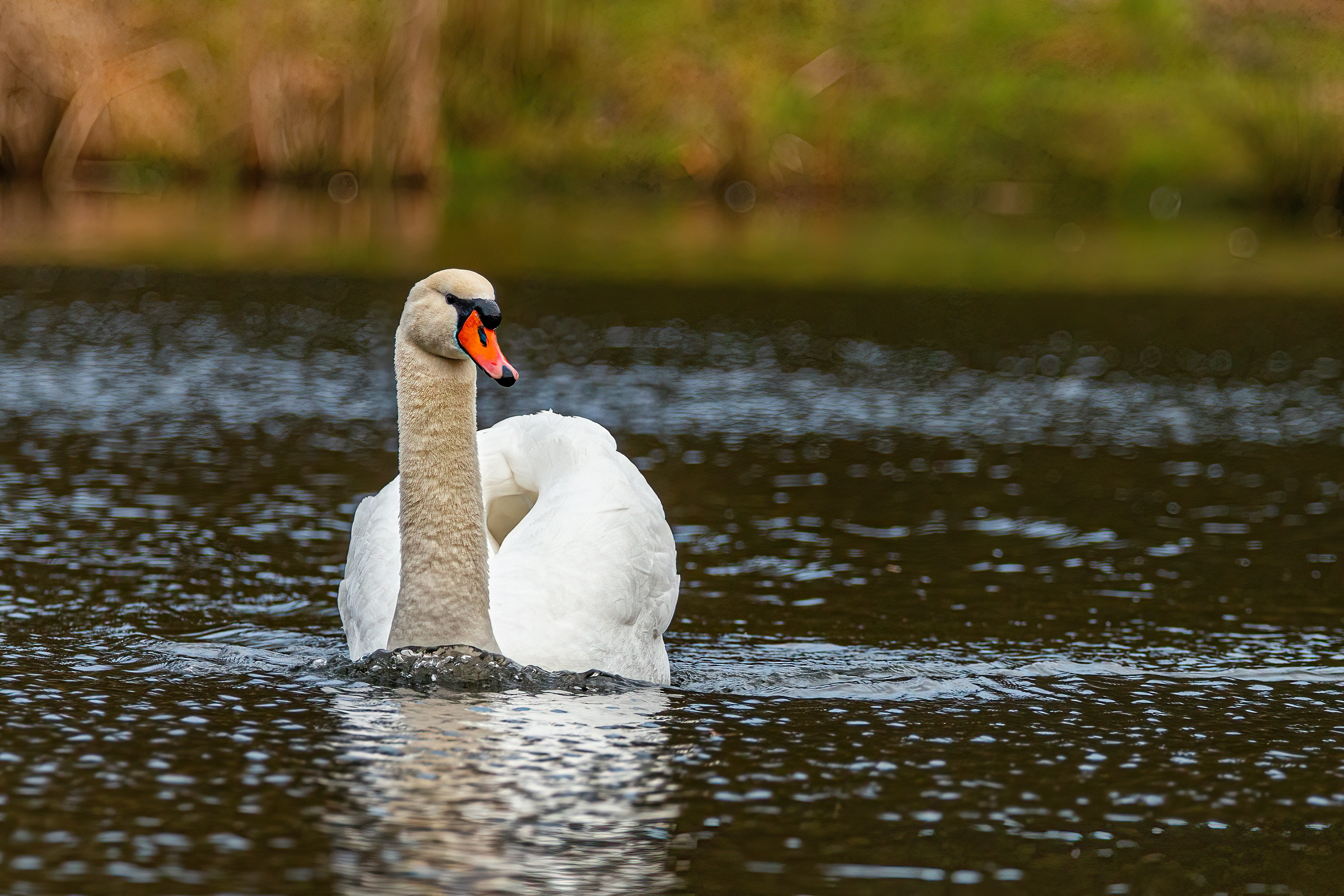 Afbeelding van Hoensbroek