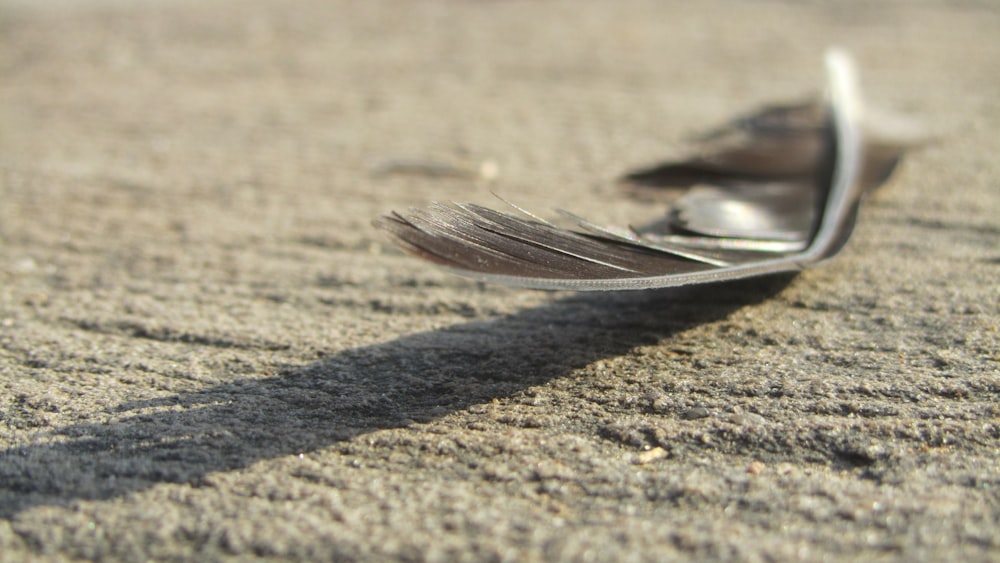 a close up of a fork on the ground