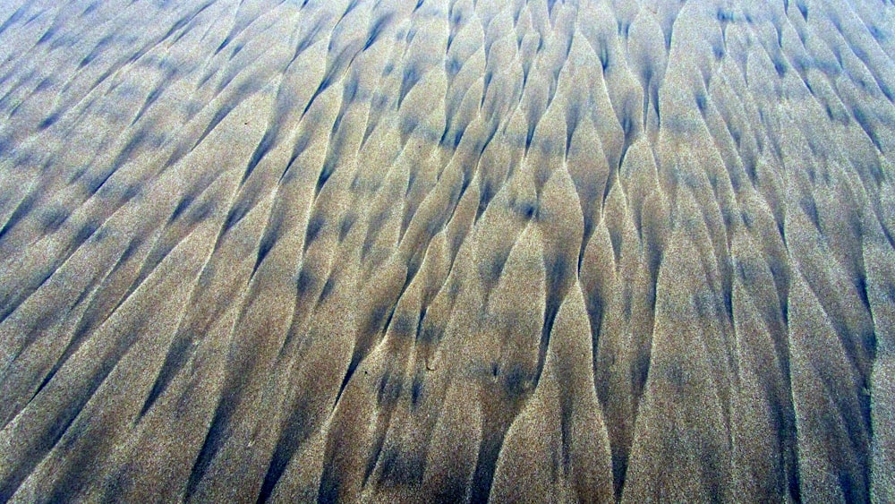 a sandy beach covered in lots of sand