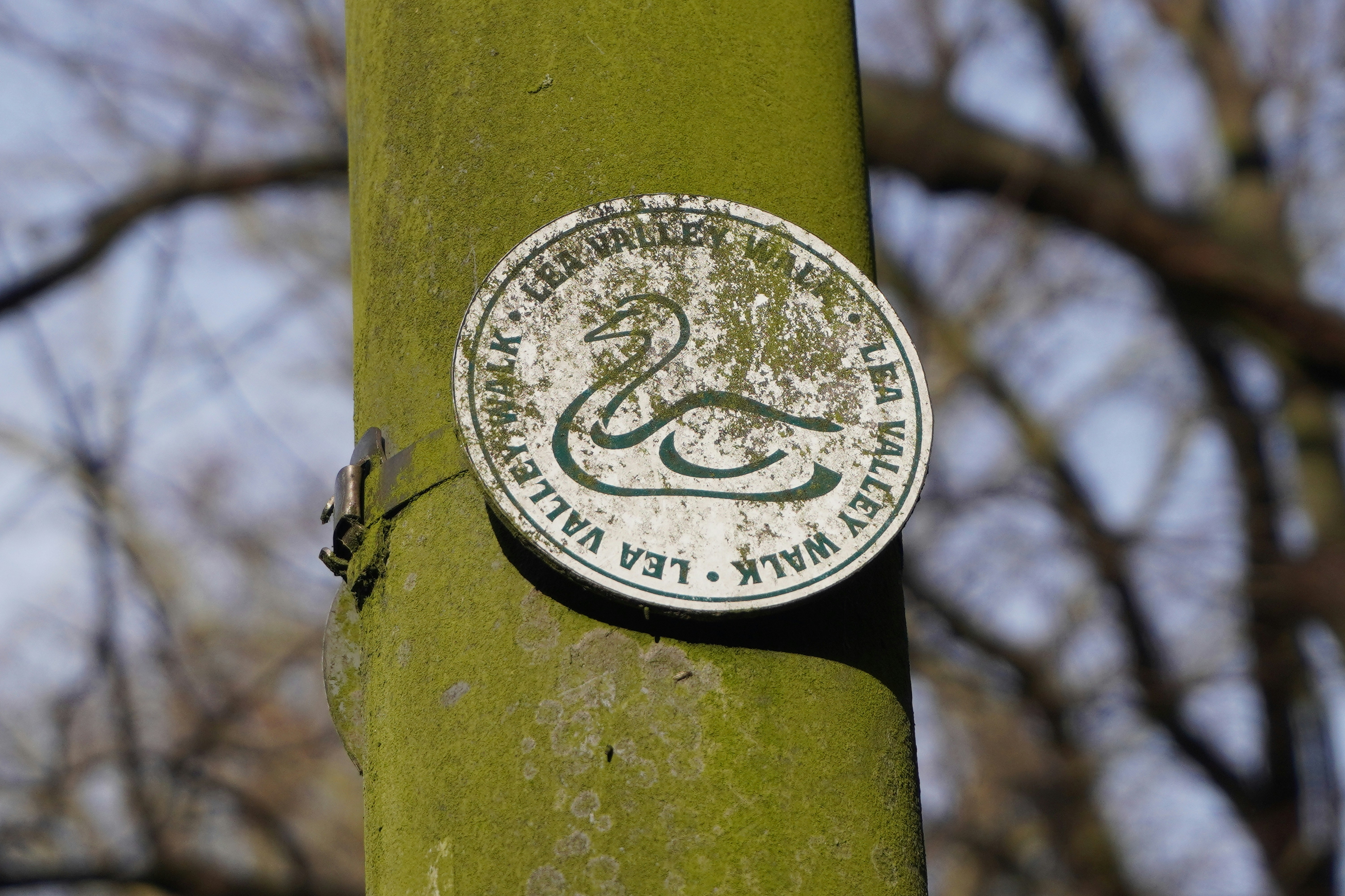 스완지 시티와 노팅엄 포레스트의 대결 분석과 최근 트렌드