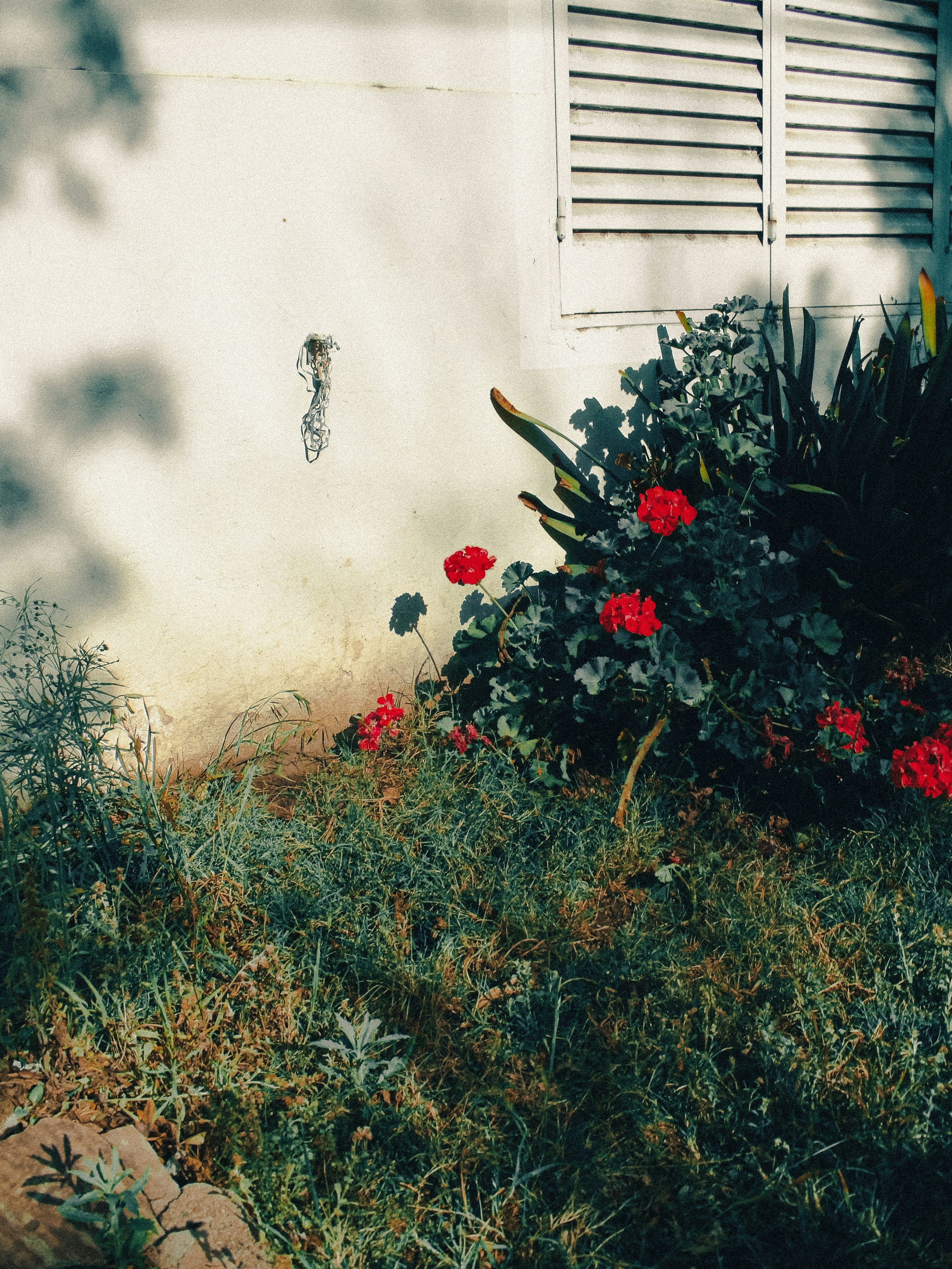 Photo by frandreotti