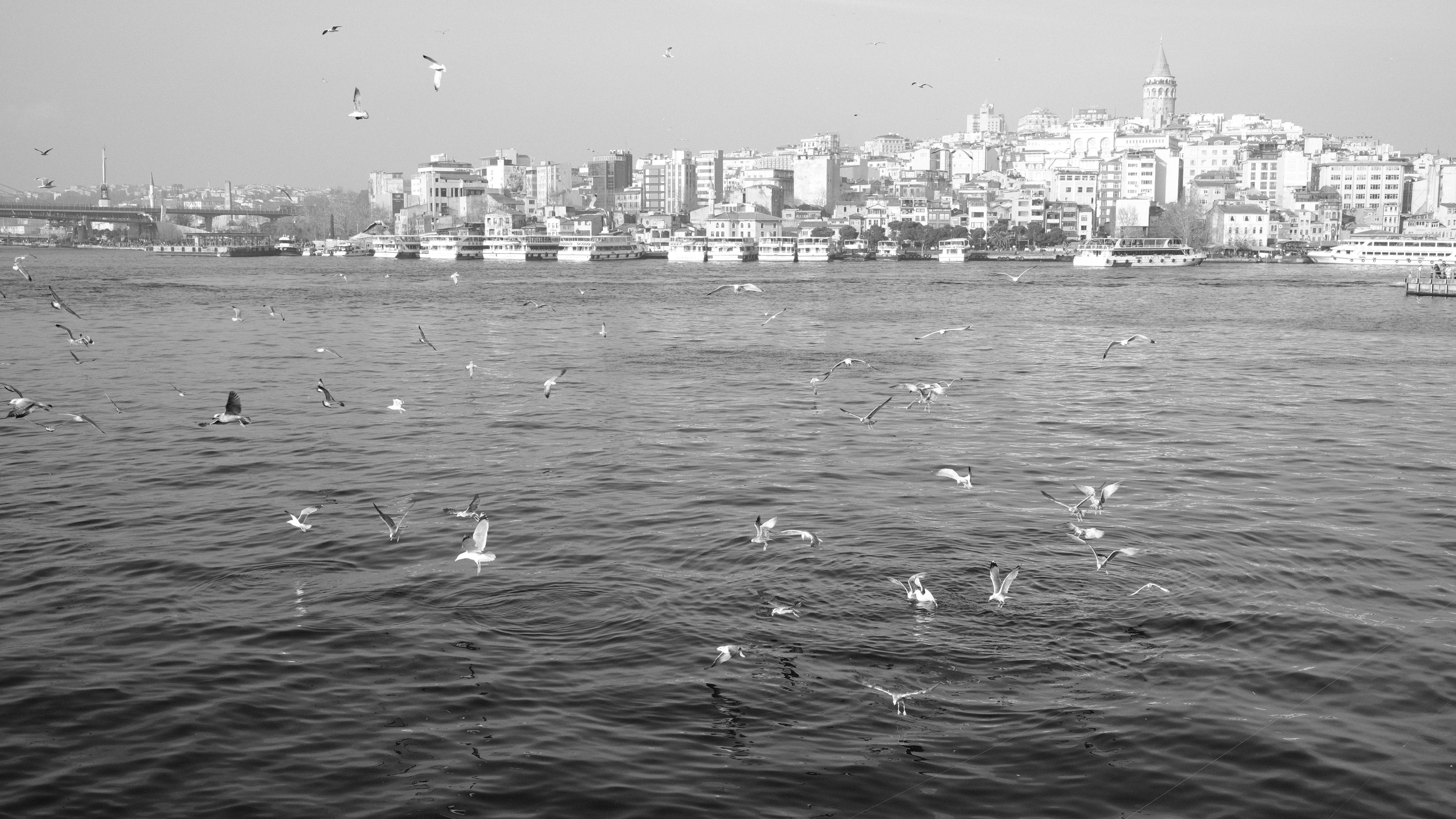 Photo by chris_designer