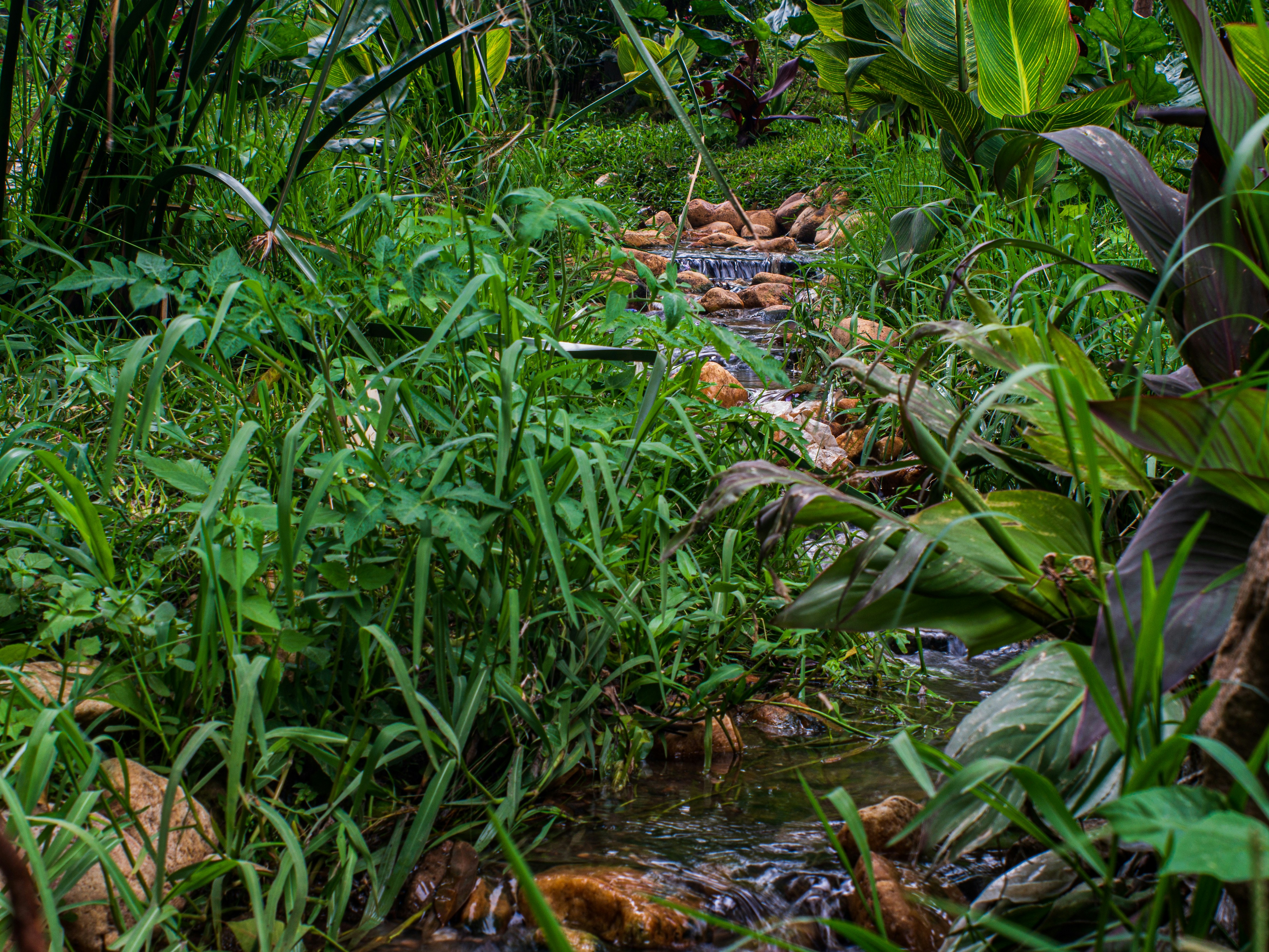 Photo by alekseyryan