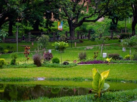 A lush, green garden featuring various plants and trees. A small pond reflects the vibrant foliage surrounding it. In the background, tall trees provide a shaded canopy, while a fence and a colorful banner are visible. The area is well-maintained with mowed grass and landscaped elements.