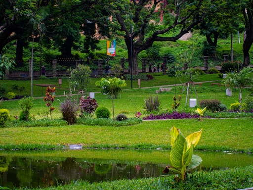A lush, green garden featuring various plants and trees. A small pond reflects the vibrant foliage surrounding it. In the background, tall trees provide a shaded canopy, while a fence and a colorful banner are visible. The area is well-maintained with mowed grass and landscaped elements.