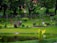 A lush, green garden featuring various plants and trees. A small pond reflects the vibrant foliage surrounding it. In the background, tall trees provide a shaded canopy, while a fence and a colorful banner are visible. The area is well-maintained with mowed grass and landscaped elements.