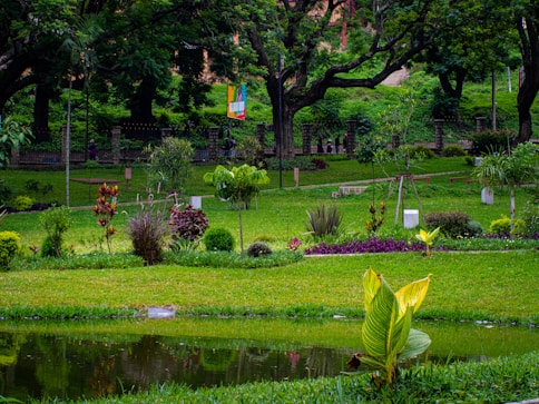 Lush green garden with carefully arranged plants and modern irrigation systems reflecting professional landscaping.