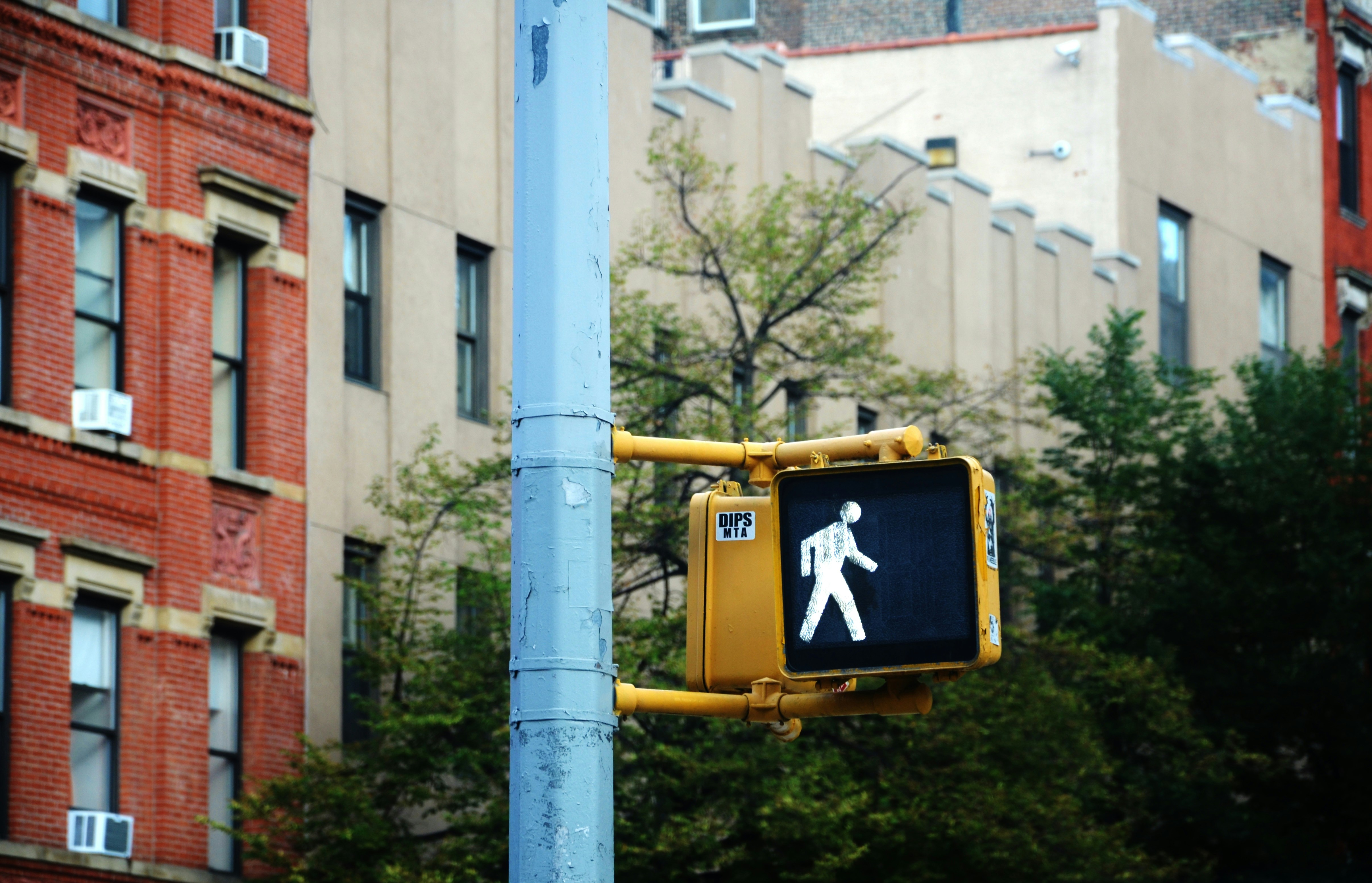 횡단보도 사고, 보행자 보호의무 위반 시 형사처벌까지?