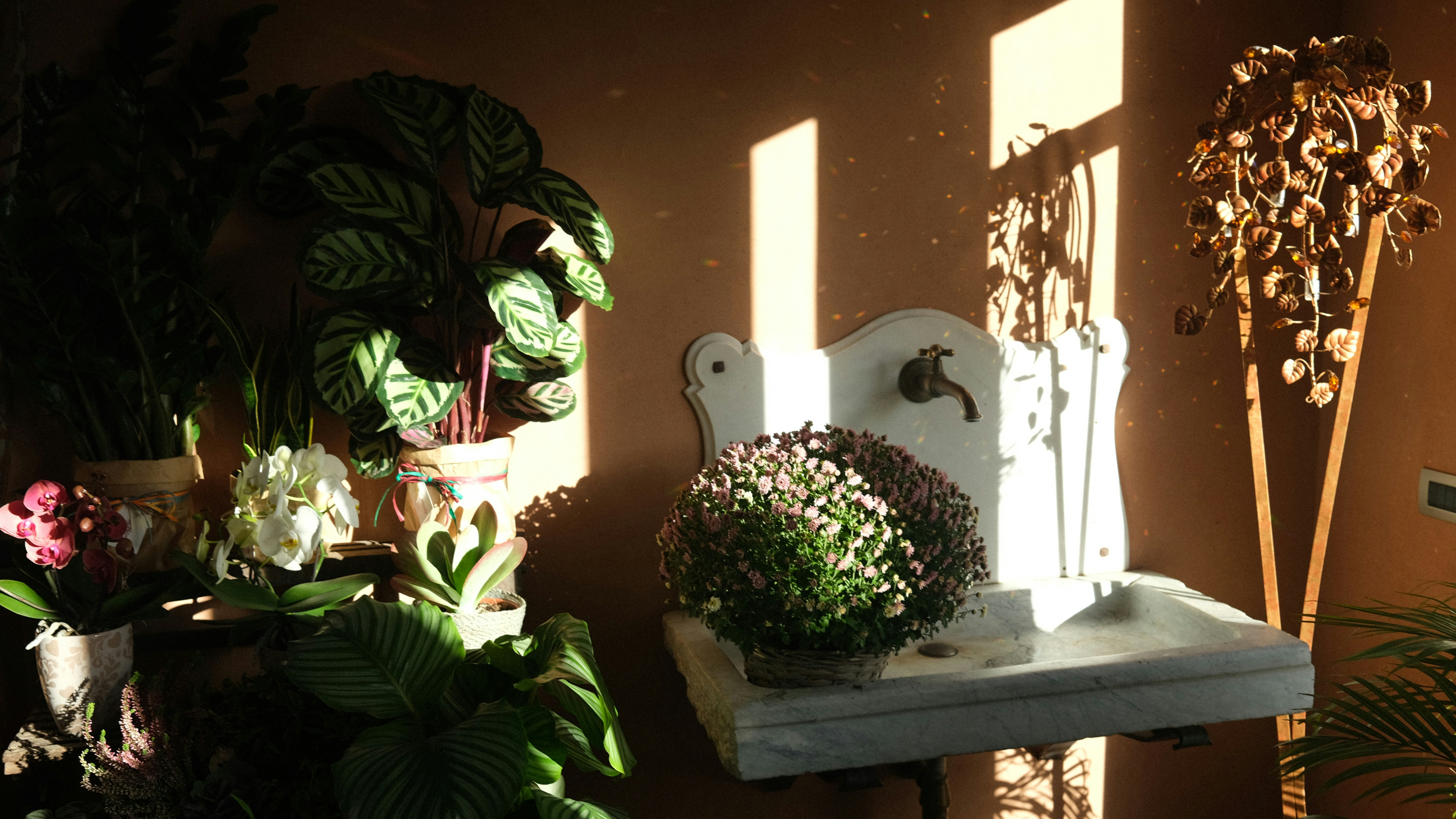 Photo by chris_designer