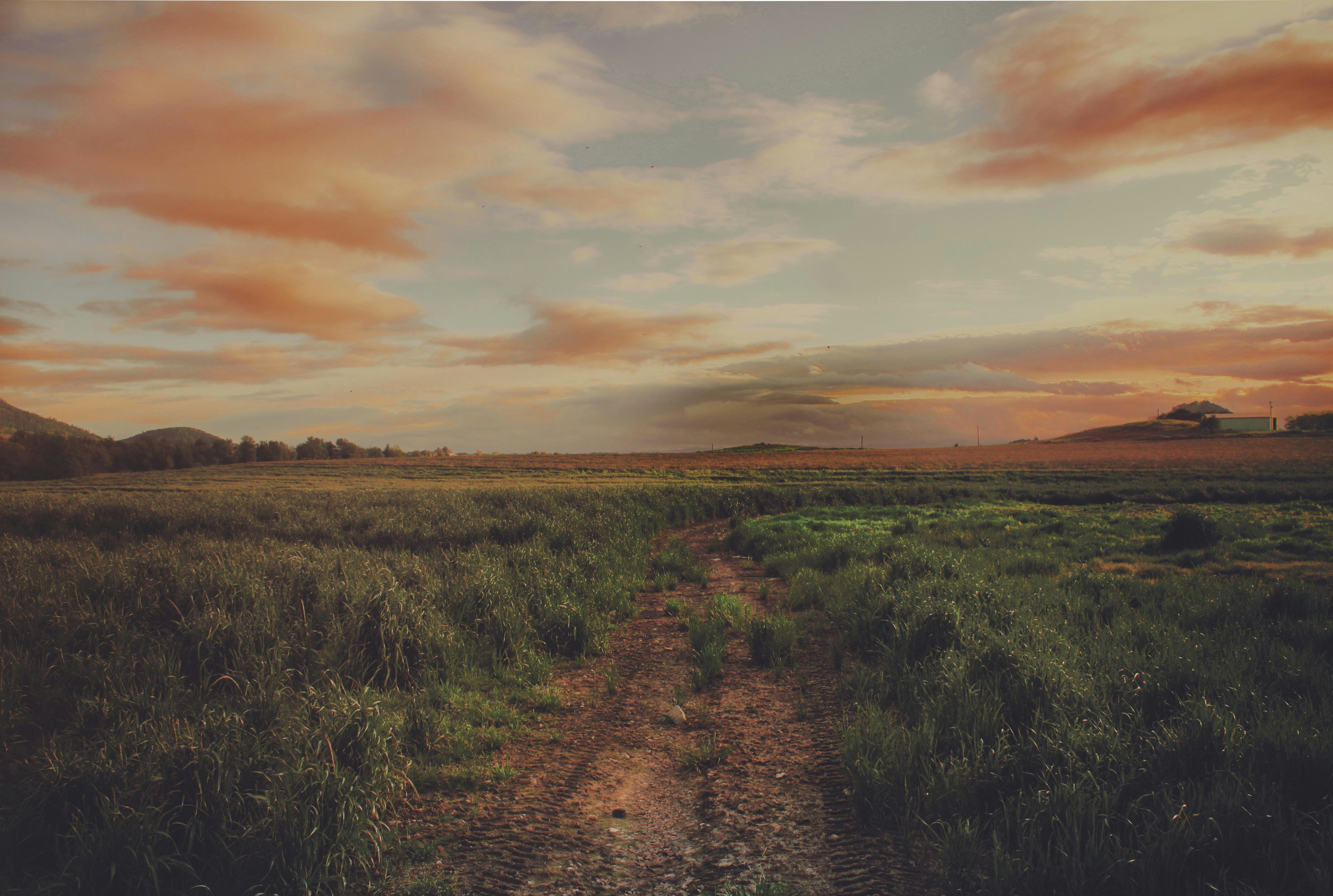 Photo by hatredholder