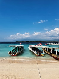 public boat gili t