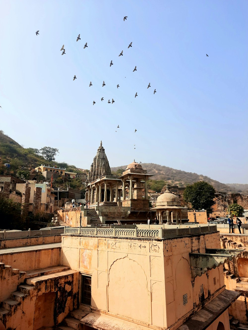 a flock of birds flying over a building