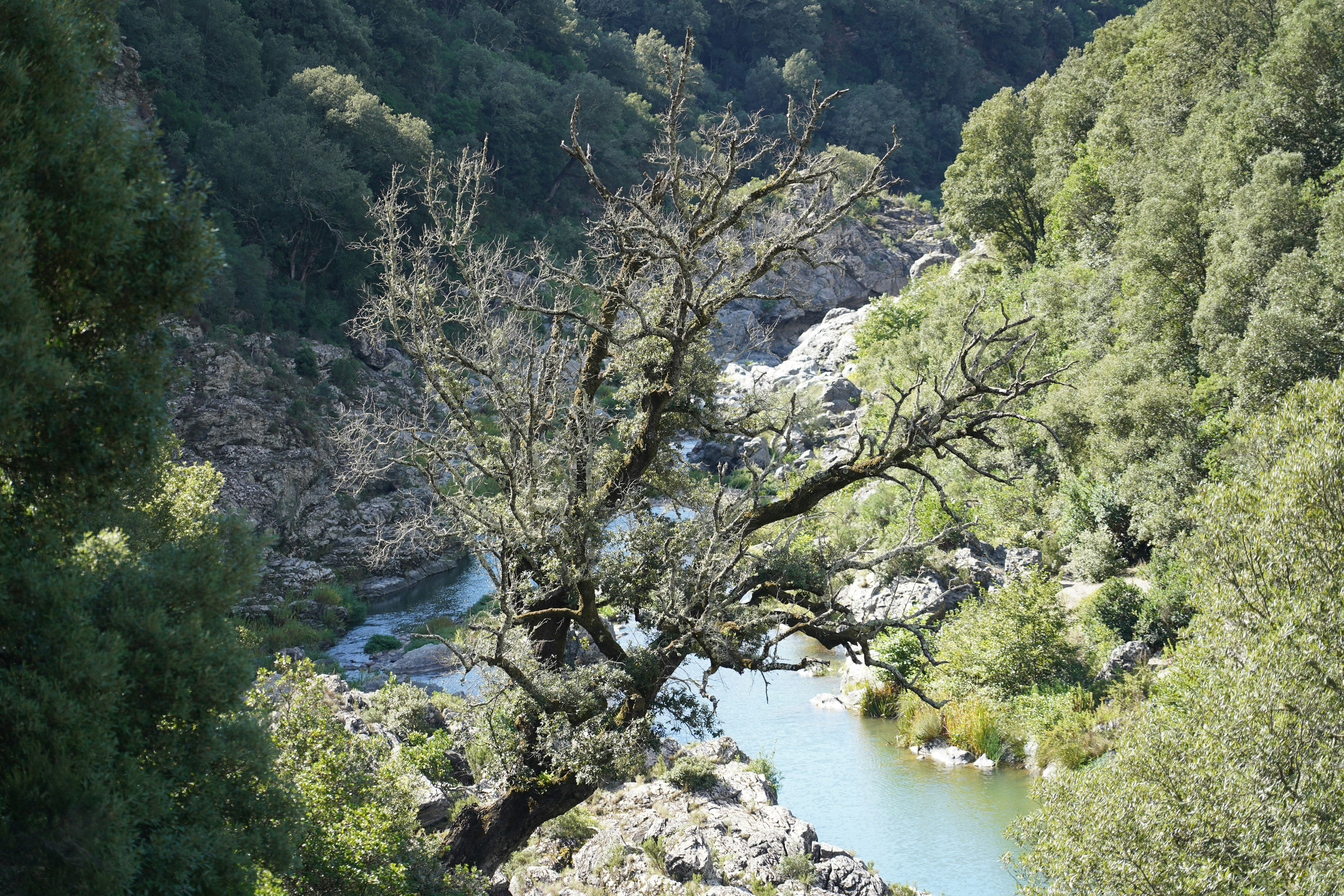 Photo by sardinien_blog