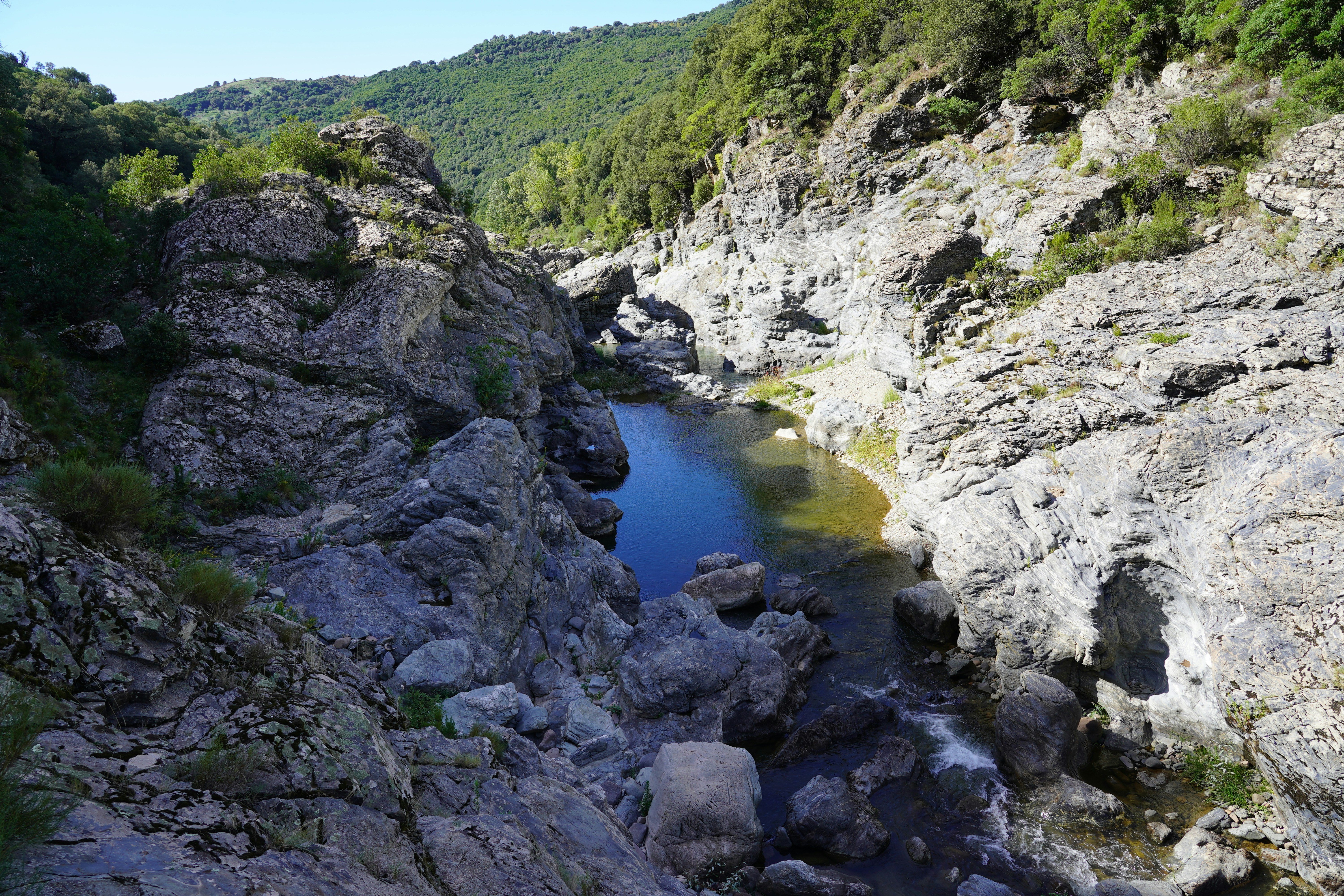 a river running through a lush green forest