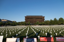 A large field with numerous white flower arrangements placed in rows, each symbolizing a purpose. In the background is a distinctive, modern brown building surrounded by lush trees. Information boards in the foreground provide details about a nonprofit organization and convey messages related to gun violence prevention.