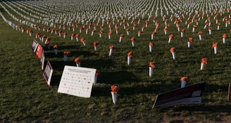 Rows of white vases holding orange floral arrangements are placed on a grassy field, creating a visually striking and organized pattern. Several signs with text and logos are positioned among the vases, indicating an event or memorial. The scene is set outdoors, bathed in natural lighting.