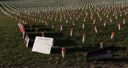 Rows of white vases holding orange floral arrangements are placed on a grassy field, creating a visually striking and organized pattern. Several signs with text and logos are positioned among the vases, indicating an event or memorial. The scene is set outdoors, bathed in natural lighting.