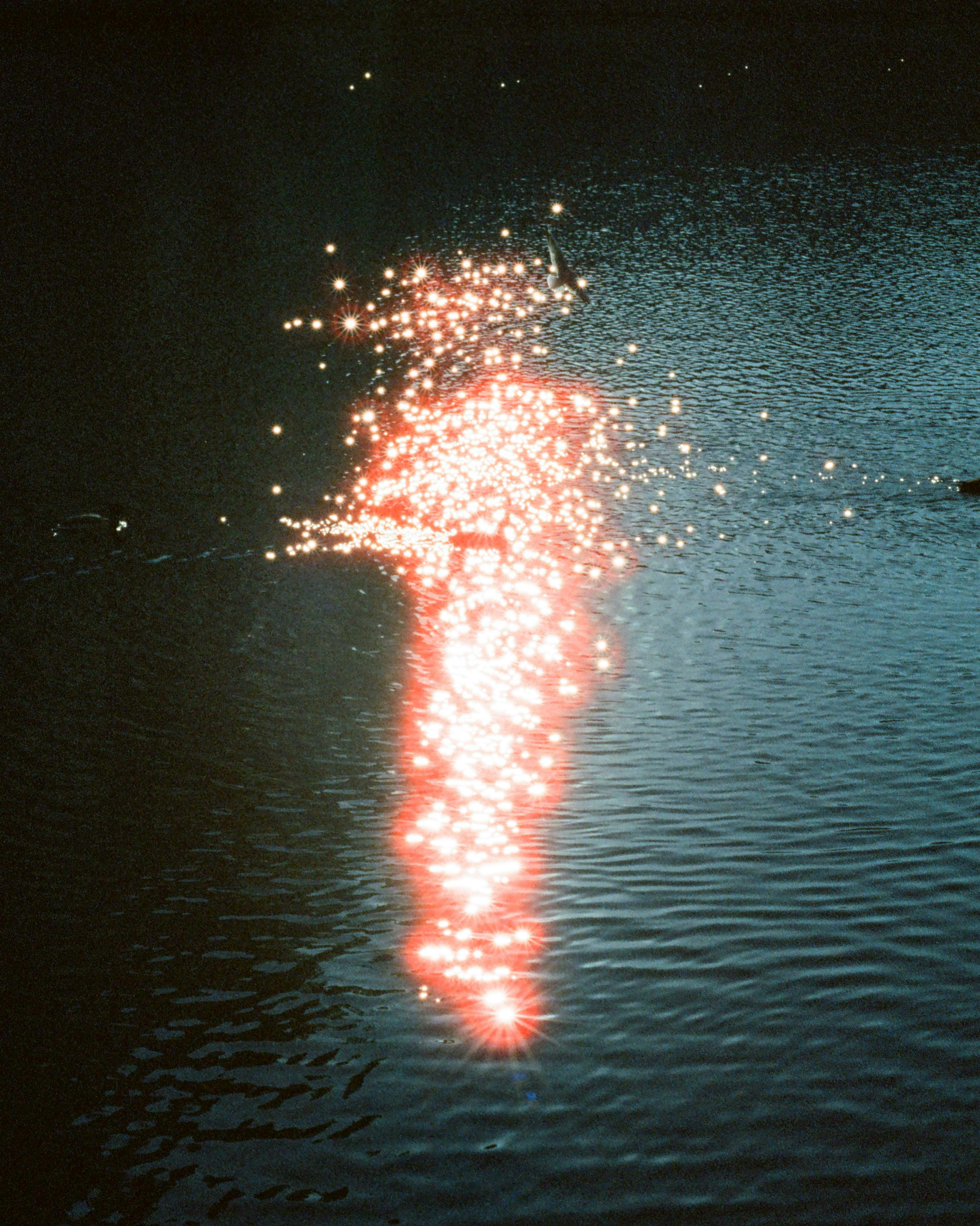 A Sustainable 4th of July