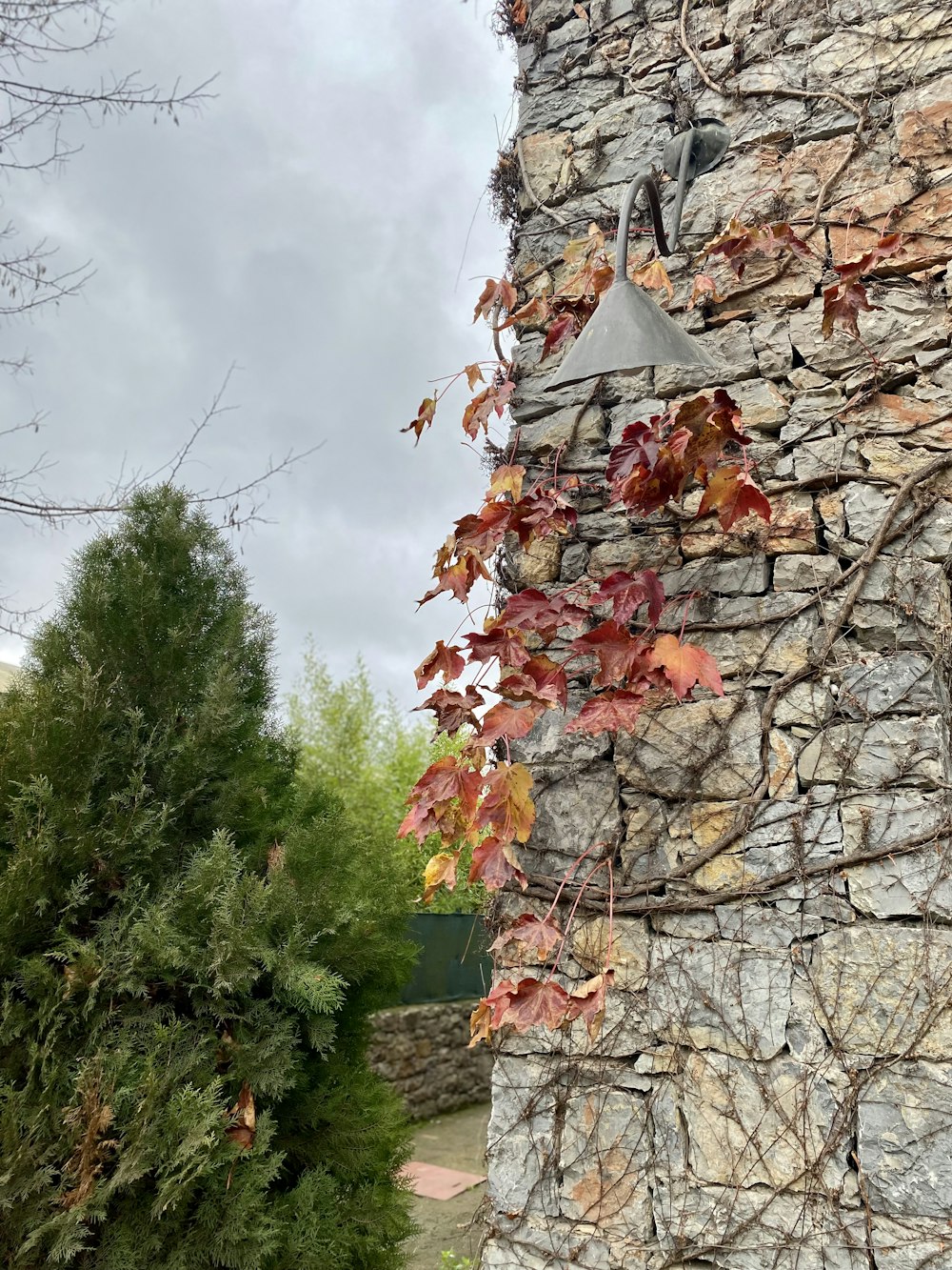 a stone building with vines growing on it