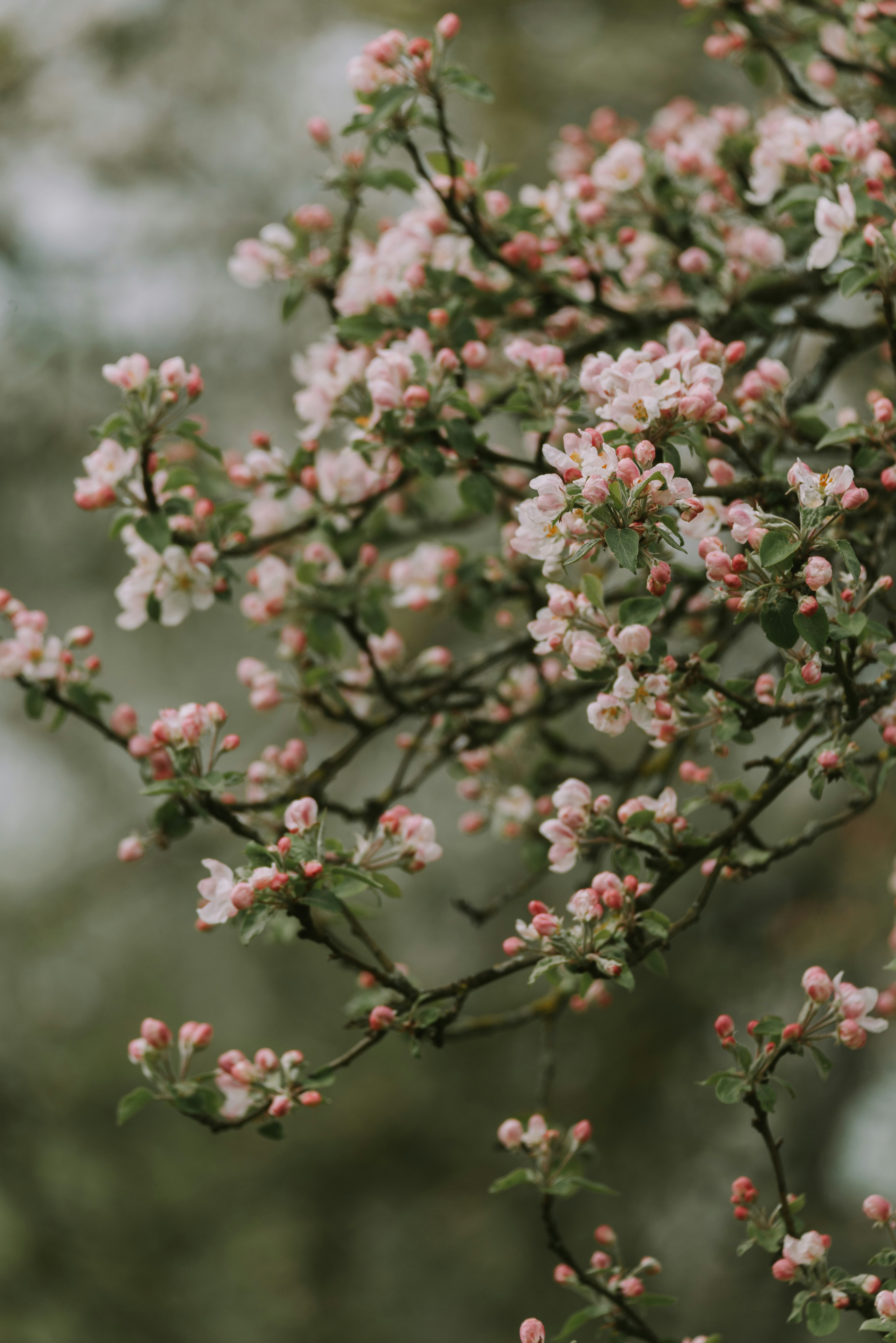 Photo by anitaaustvika