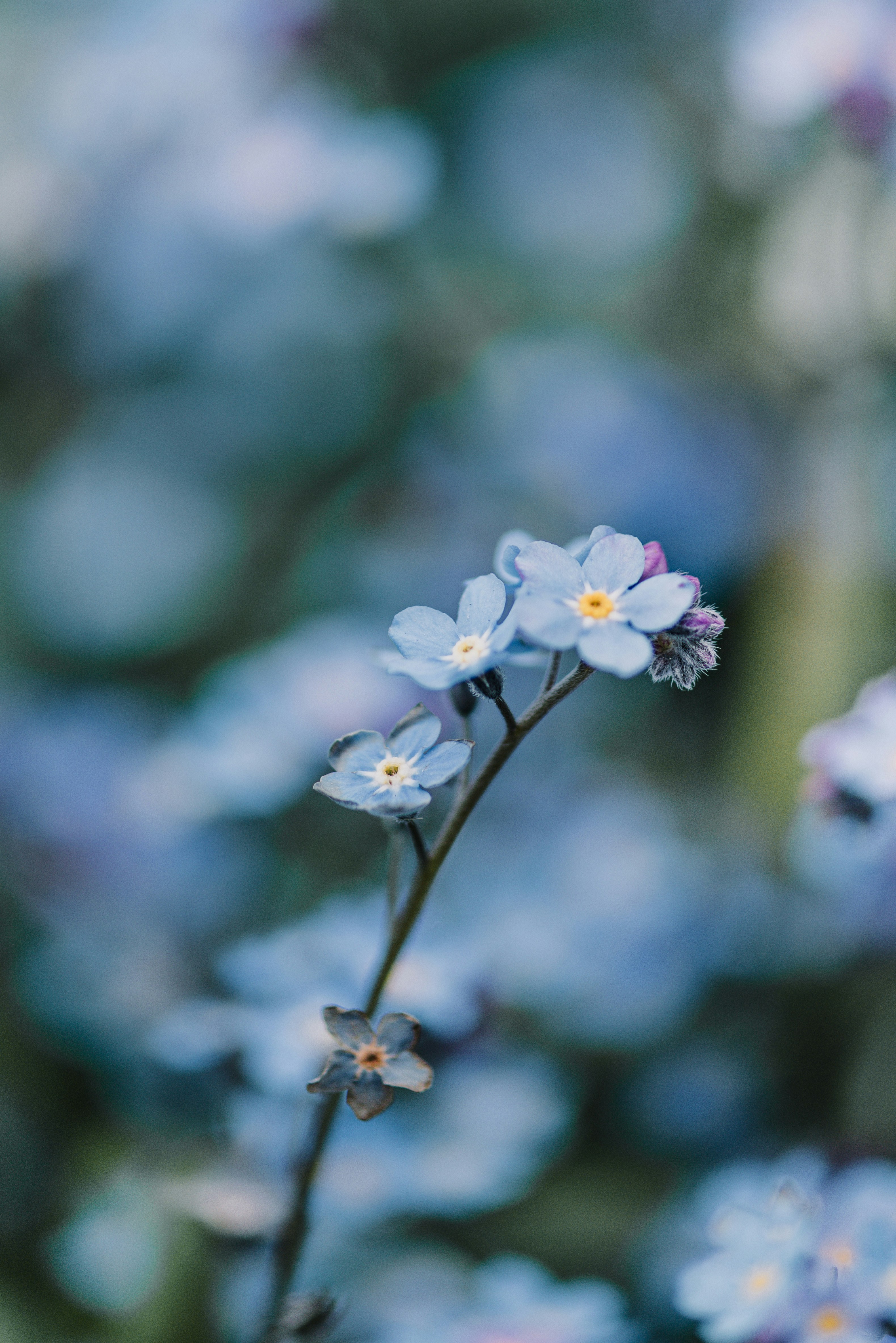 Photo by anitaaustvika