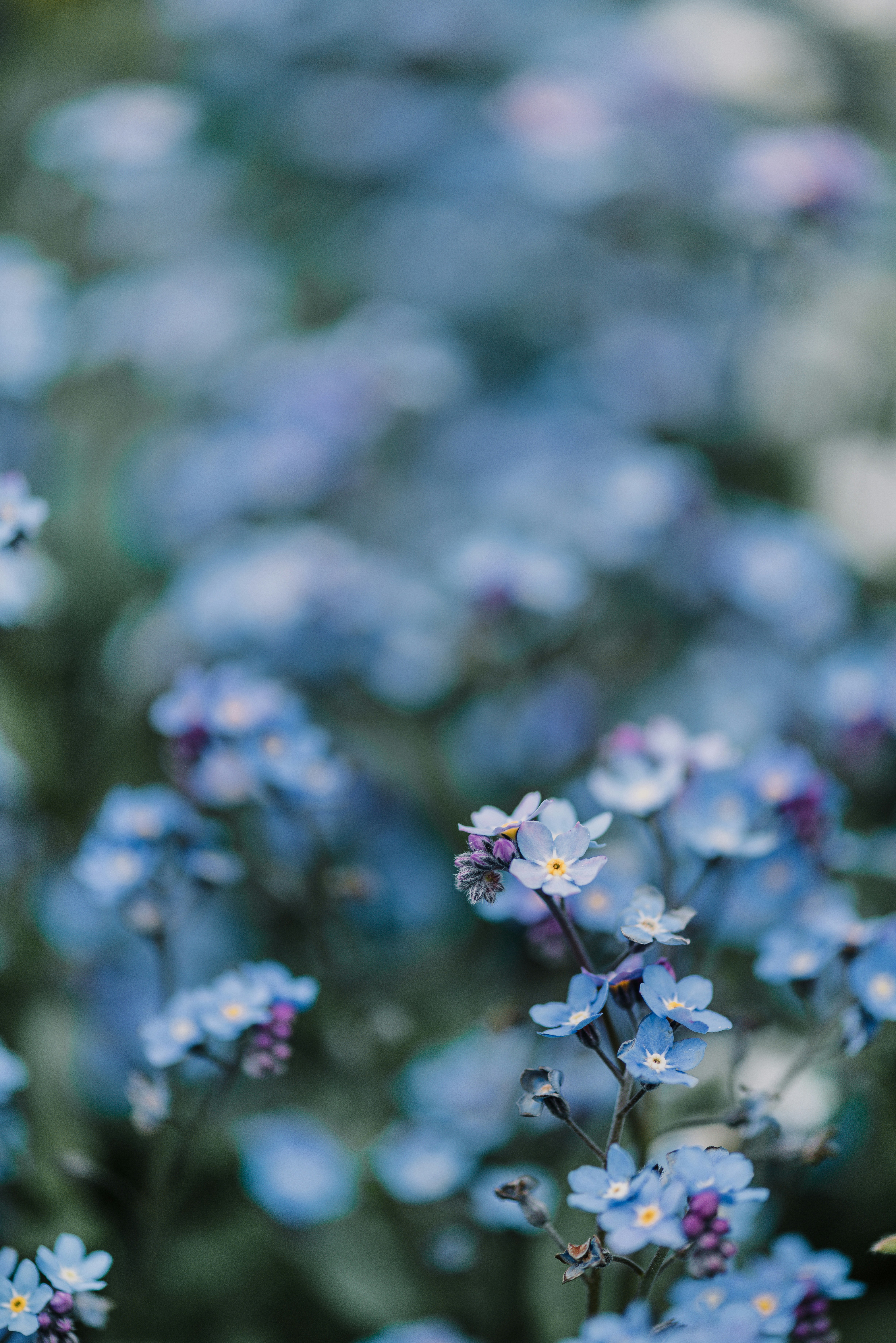 Photo by anitaaustvika