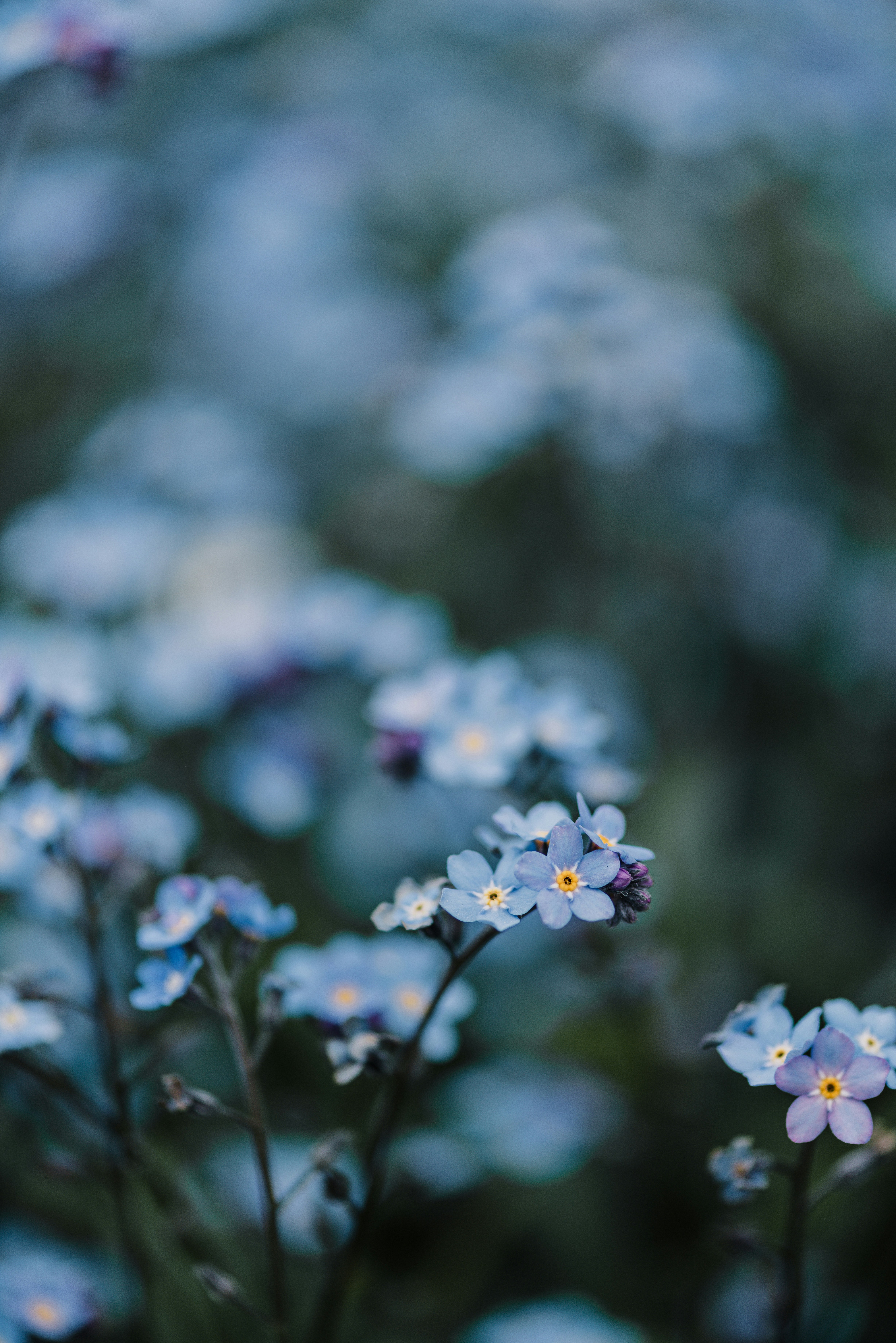 Photo by anitaaustvika