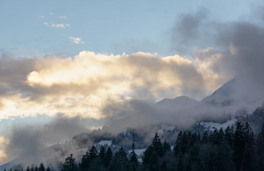 A serene mountain landscape with soft blue skies and muted green forests.