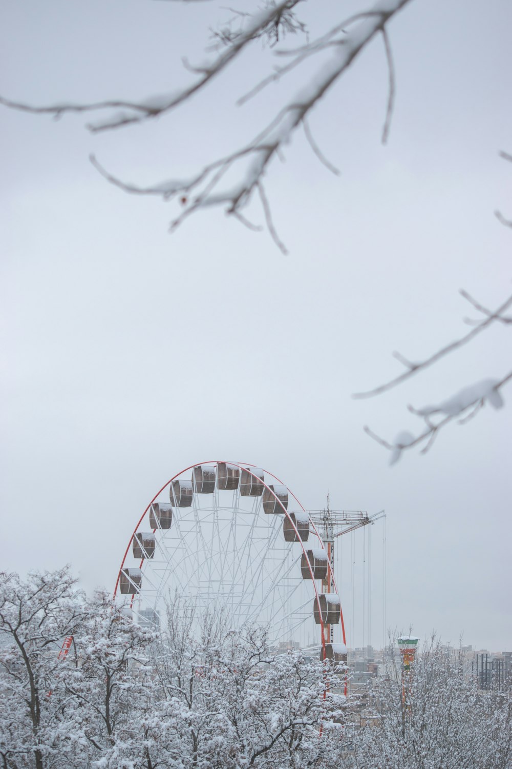 a ferris wheel in the middle of a snowy park